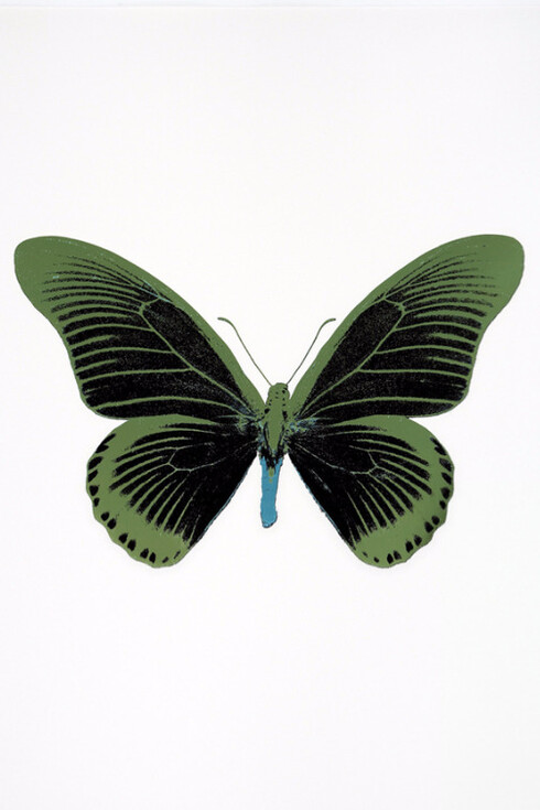 Damien Hirst. Courtesy of Samuel Owen Gallery