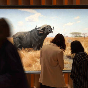 King of the Animals. Courtesy of SCHIRN