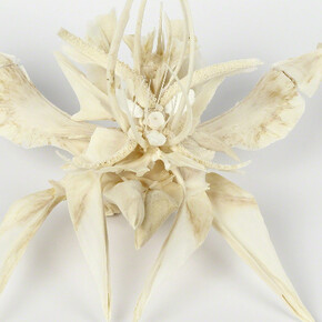 Tamara Ferioli. Courtesy of Officine dell'Immagine Gallery