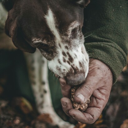 Il tartufo, noto sin dall'antichità, era apprezzato già dagli Egizi, che lo consumavano insieme al grasso d'anatra per esaltarne il sapore