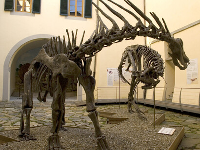 The dinosaurs rooms and courtyard. Courtesy of Museo di Storia Naturale