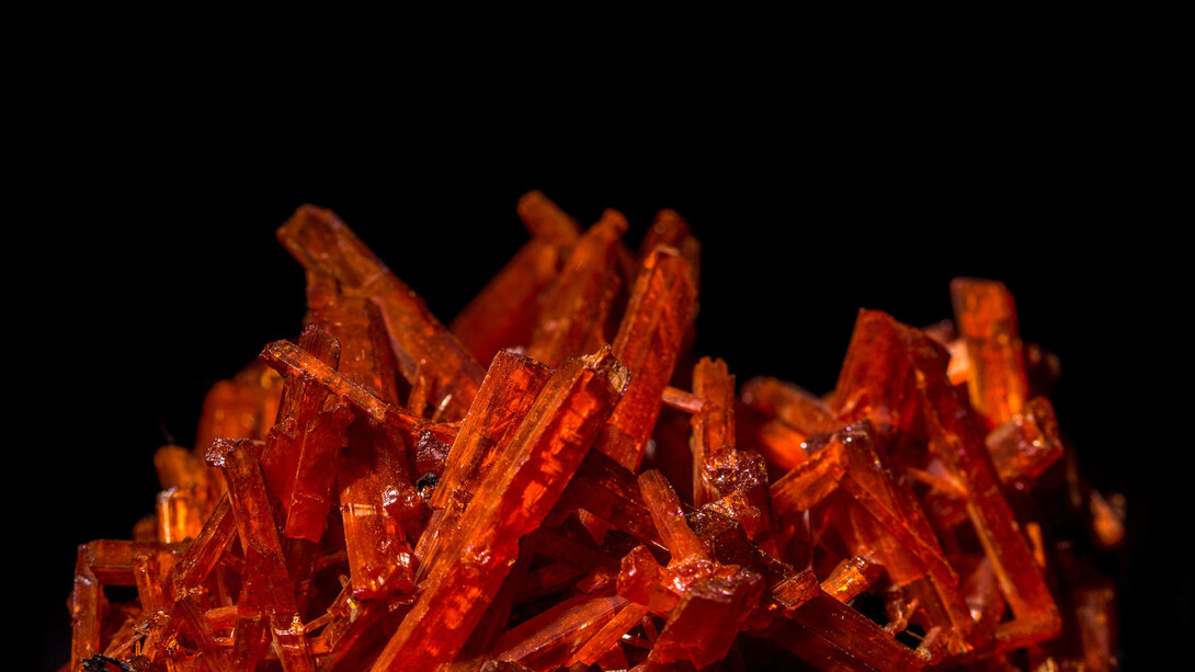Gems and Minerals Unearthed. Courtesy of California Academy of Sciences