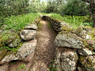 Area archeologica del santuario nuragico di Santa Cristina, Paulilatino, Oristano, Italia. Foto di Holger Uwe Schmitt