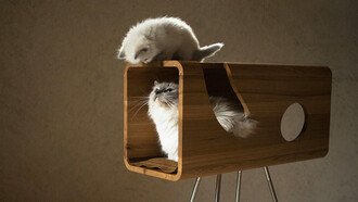 Pet Home Collection
