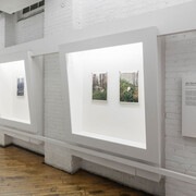 Manny Wood Lynes-Ford, After they leave, exhibition view. Courtesy of Gallery 44