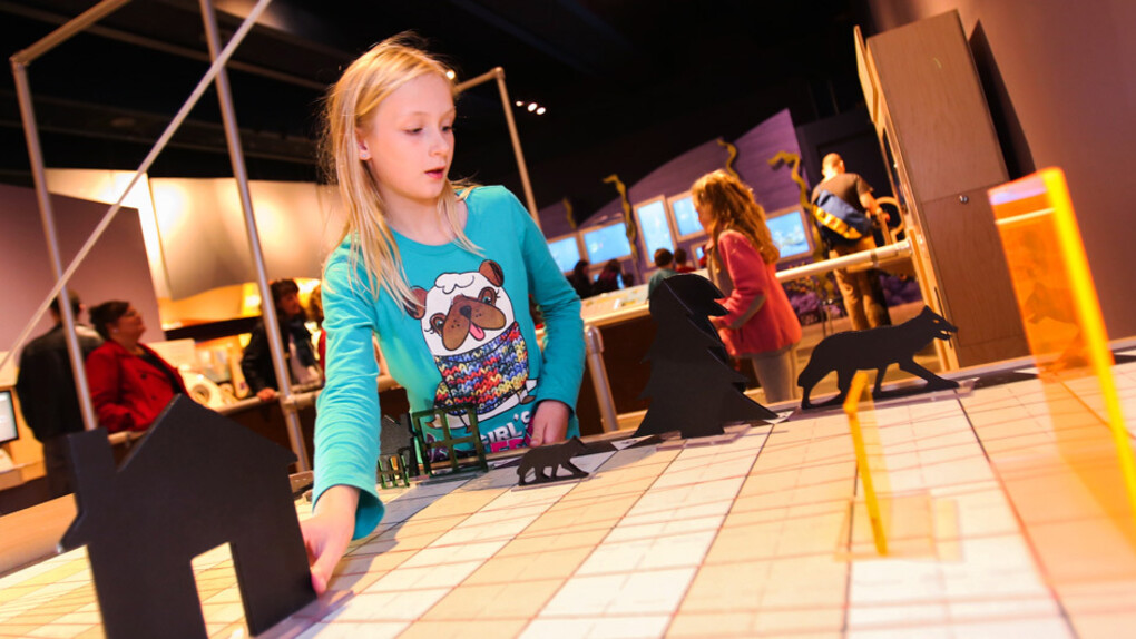 Math Moves! Courtesy of Museum of Science