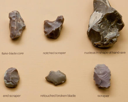 Stout Hall of Asian Peoples. Courtesy of American Museum of Natural History