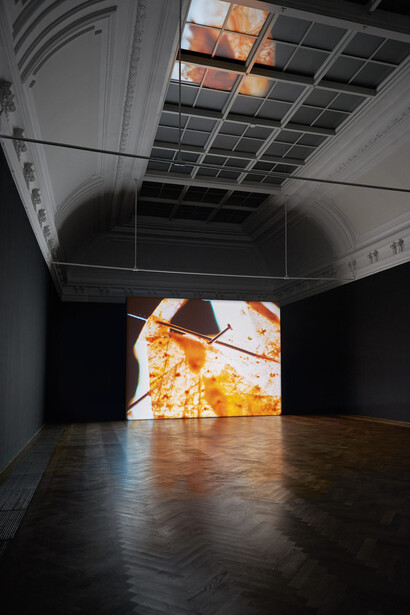 Luke Willis Thompson. Courtesy of Kunsthalle Basel