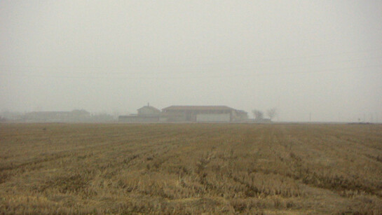 Campagna lombarda