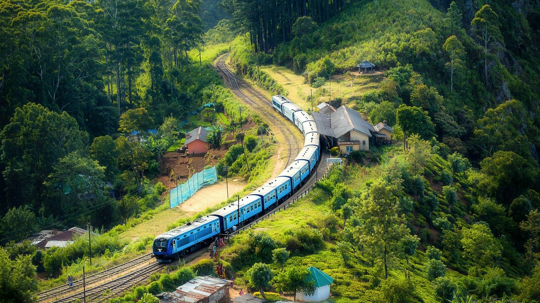 Ho sempre amato i viaggi in treno. C'è qualcosa nel movimento costante e nel paesaggio in continua evoluzione che mi fa sentire vivo