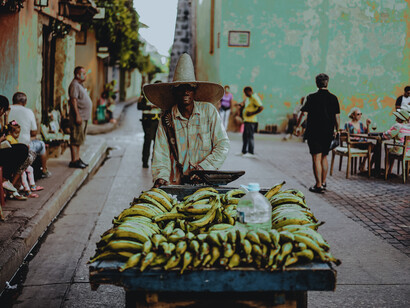 Portador de plátano en una plantación
