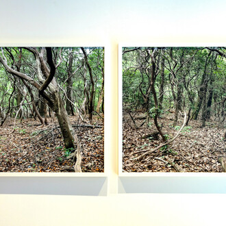 Hilary Tolan, In this Place, exhibition view. Courtesy the artist and Kingston Gallery