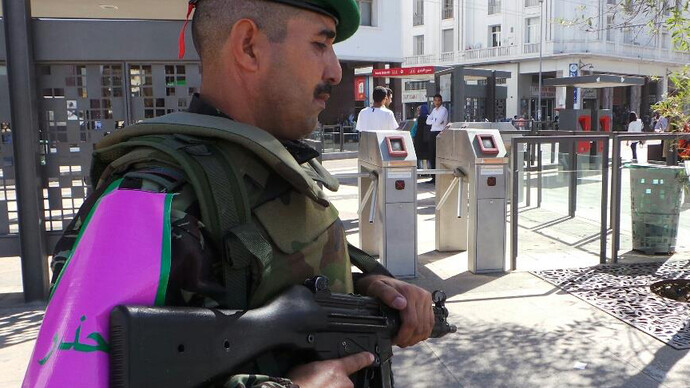 The "Hadar” program of vigilance