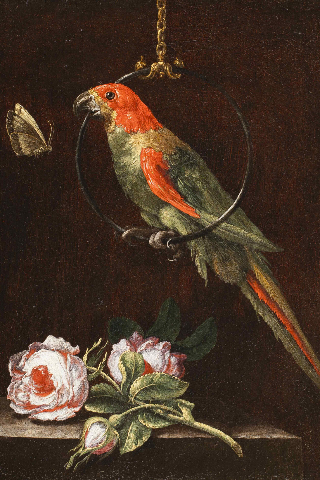 Andrea Scacciati, A Still Life of Roses on a Ledge with a Parrot on a hanging Perch and a Butterfly
