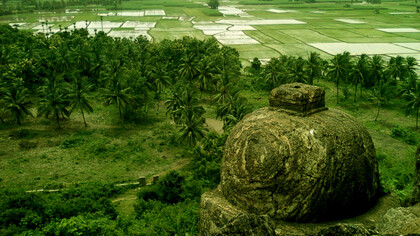 A scenic view of paddy fields from Bojjannakonda, Sankaram