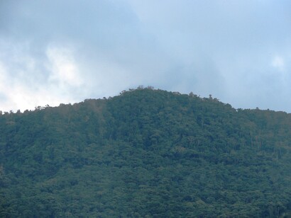  Cerro Tonduz, al sur de Costa Rica. Foto: Róger González Tenorio