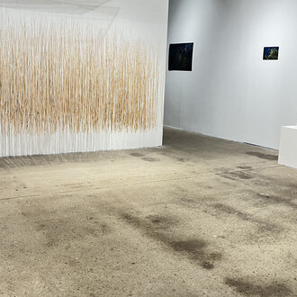 Lois Bielefeld and Marzena Ziejka, Its own pristine devices, exhibition view. Courtesy of Portrait Society