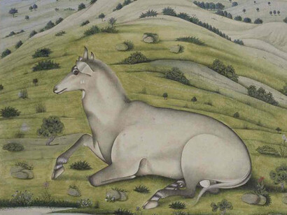 Studies of Nature. Courtesy of Pergamonmuseum