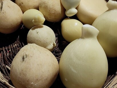 In Puglia, il caciocavallo è lavorato a mano dai maestri casari, che modellano la pasta filata in forme caratteristiche a pera con una testina superiore