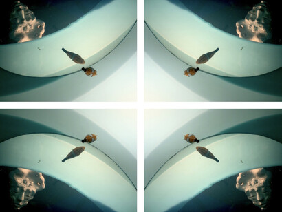 Acqua Lago Pesce (Uomo), photo: Neil Davenport, Italy