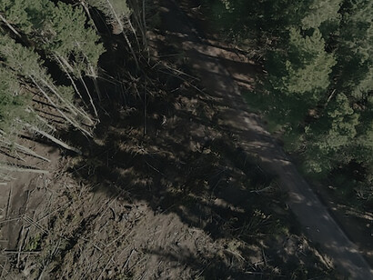 In the stark portrayal of environmental decline, the image encapsulates the devastating consequences of deforestation, emblematic of the broader challenges posed by climate change and the irrevocable loss of the biosphere