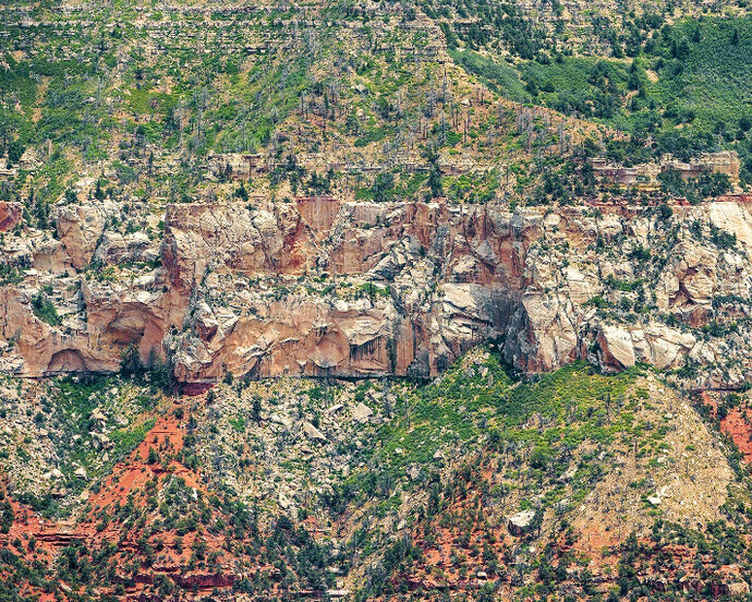 Pattern in Landscape. Courtesy of Front Room