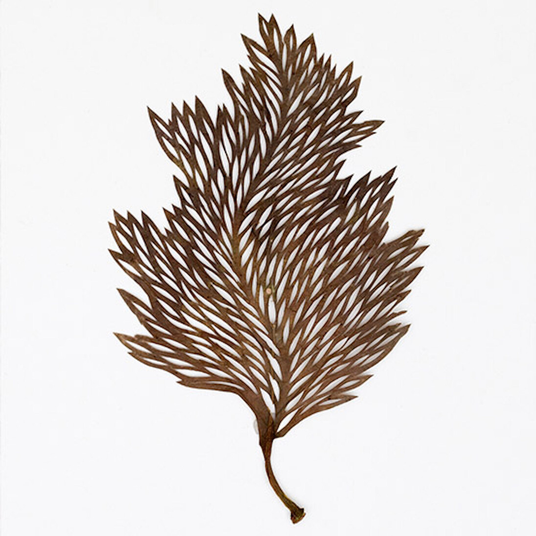 Cut Up/Cut Out. Courtesy of Bellevue Arts Museum