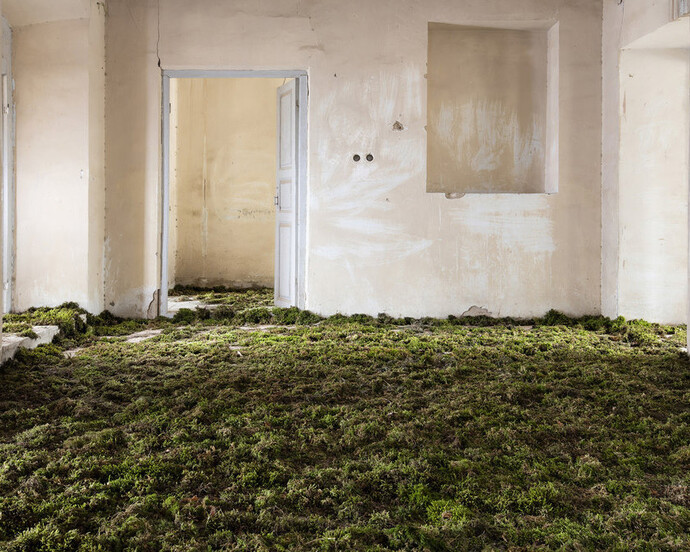 Gohar Dashti. Courtesy of Robert Klein Gallery