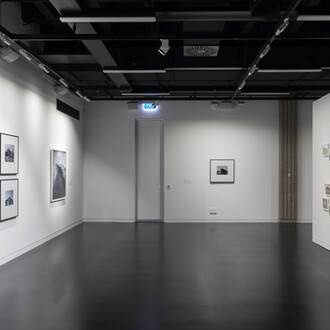 Site seeing, exhibition view. Courtesy of City Gallery