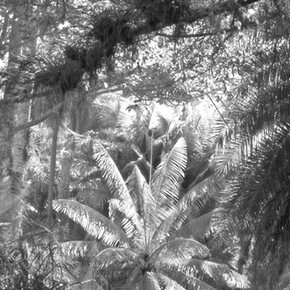 Ana Torfs. Courtesy of Pori Art Museum