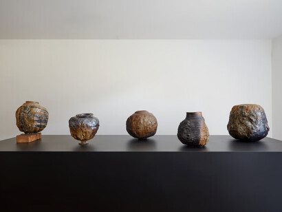 Adam Silverman, LACMA seeds and weeds, exhibition view. Courtesy of Blum Gallery