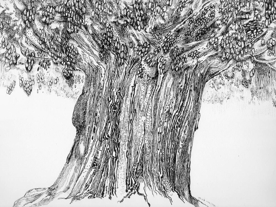 Charles Steckler, Sacagawea, Ink on paper