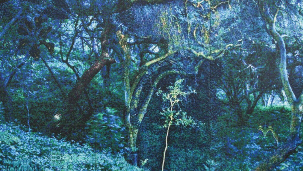 Tony Berlant. Courtesy of Brian Gross Fine Art