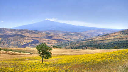 Vista dell'Etna dalle campagne, a giugno