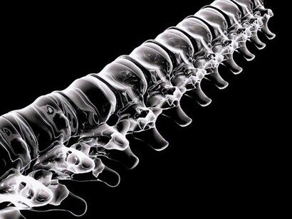 Columna vertebral