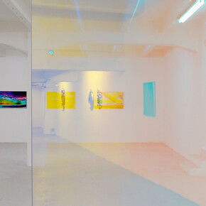 Sali Muller. Ultra contemporary landscape, installation view. Courtesy of The Flat 