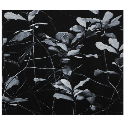 Peter Eastman, Valley Floor Light I, oil on aluminium, 30x35 cm. Courtesy of Barnard Gallery