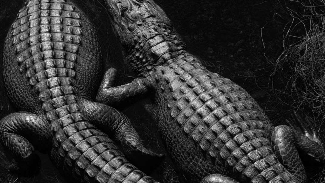 Living 24/7. Courtesy of NRW-Forum