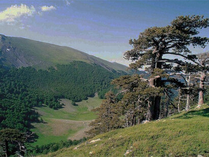 Parco del Pollino