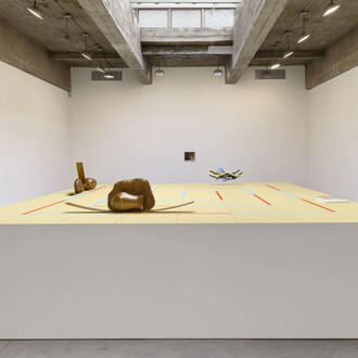 Rodrigo Hernández, What else did I see? Exhibition view. Courtesy of Tanya Bonakdar Gallery 