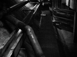 Ergo Sum. Courtesy of Galleria del Cembalo