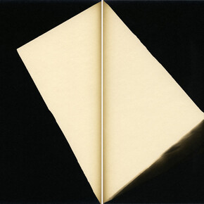 Alison Rossiter, Nepera Chemical Company Carbon Velox, shipped from works November 8, 1897, processed 2014, Two Gelatin Silver Prints, Unique © Alison Rossiter, Courtesy Yossi Milo Gallery, New York