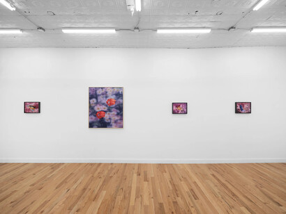 Martina Grlić, Memory projects, exhibition view. Courtesy of Fragment Gallery