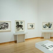 Robert Rauschenberg, Exhibition view. Courtesy of WCMA