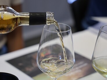 Dalla freschezza minerale dei vini giovani alle note di idrocarburo dell’invecchiamento, Orvieto dimostra una sorprendente capacità evolutiva. Foto di Isabella Ceccarelli