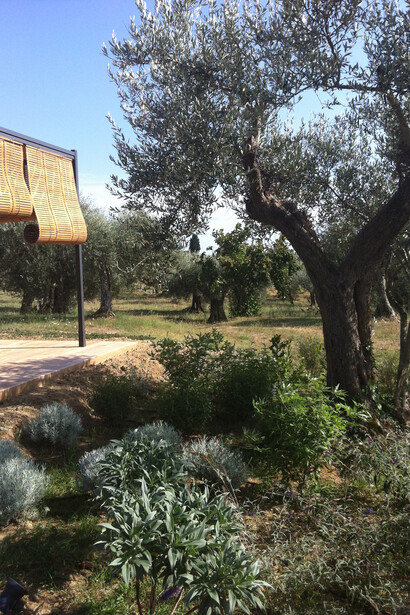 La bordura mista mediterranea