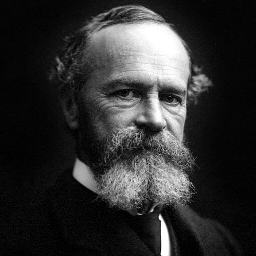 William James escribió extensamente sobre muchos temas, incluyendo epistemología, educación, metafísica, psicología, religión y misticismo