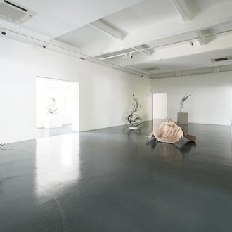Zheng Lu, The dry riverbed finds no thanks for its past, exhibition view. Courtesy of Sundaram Tagore