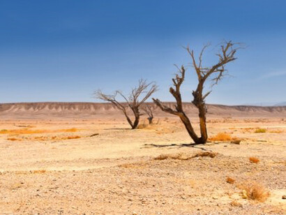 The number of people being affected by the impact of climate change overall is steadily increasing