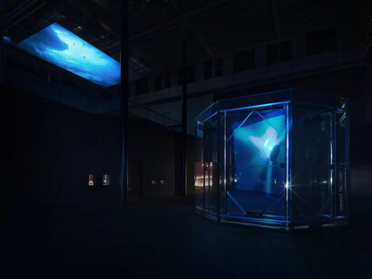 Julian Charrière, Midnight zone, ausstellungsansicht. Mit freundlicher genehmigung von Galerie Dittrich & Schlechtriem